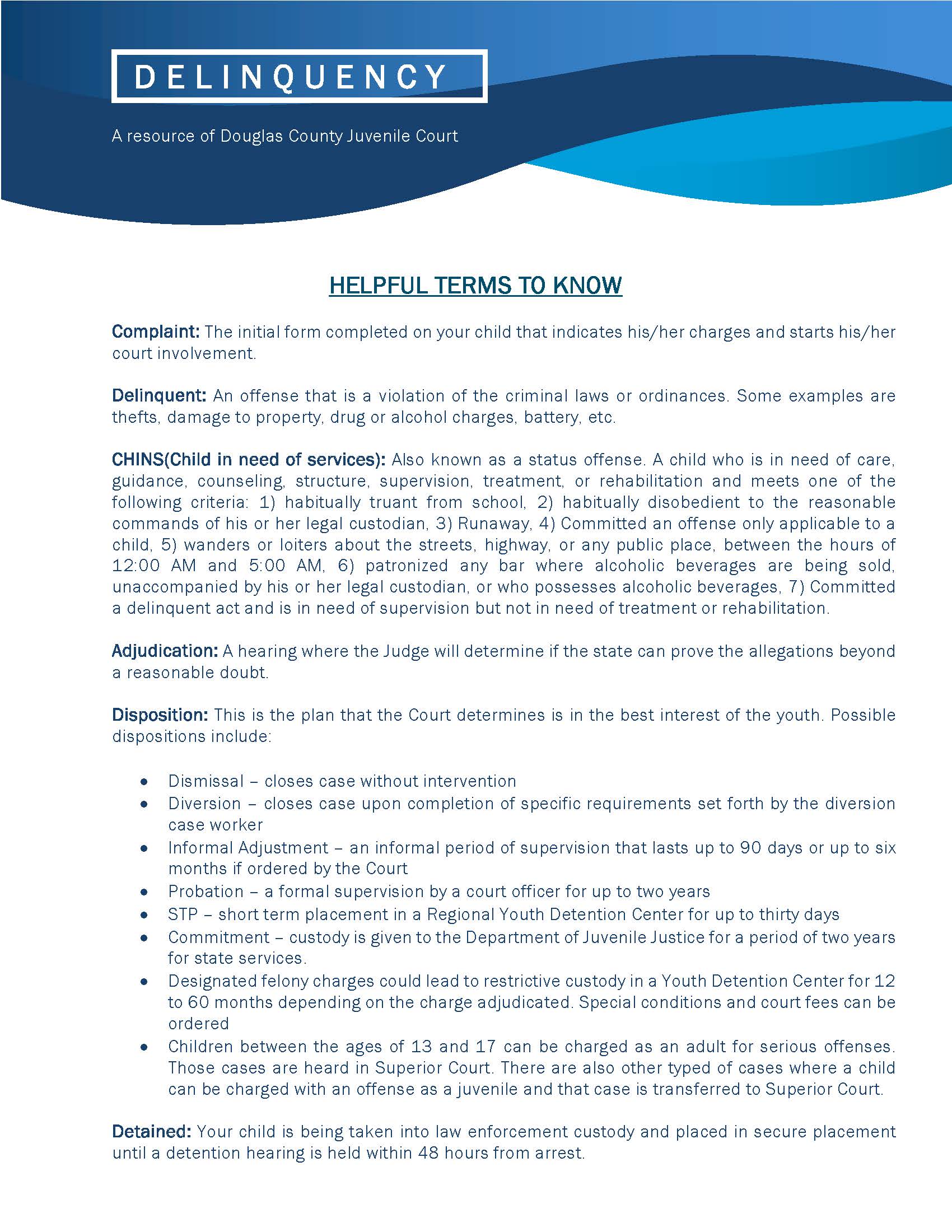 Delinquency Info Sheet _Page_1
