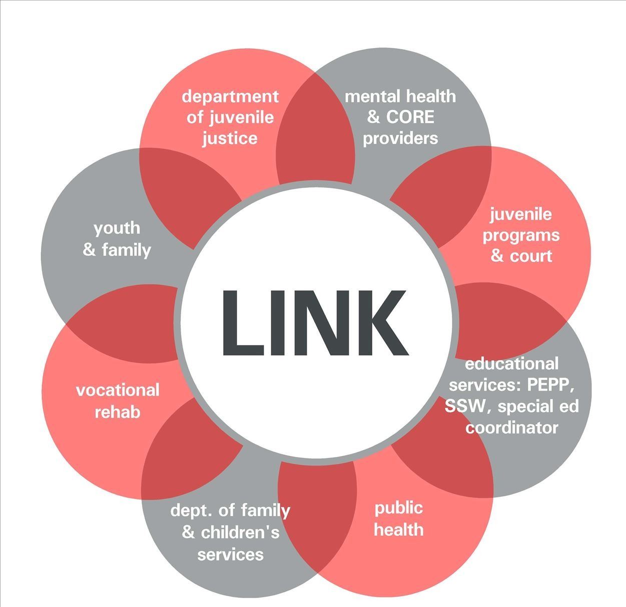 LINK - Linking, Integrating, and Networking for Kids Opens in new window