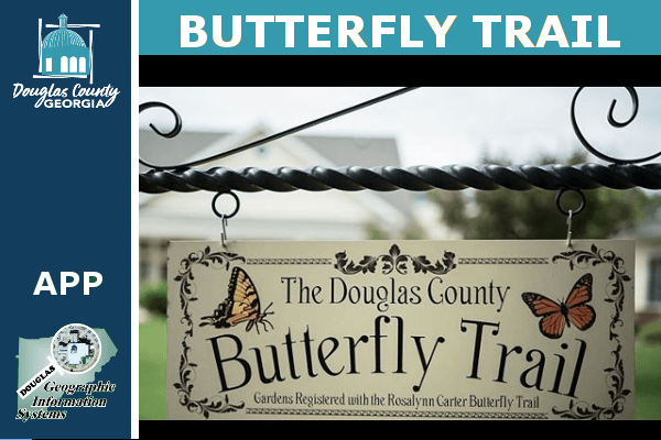 Butterfly (1) Opens in new window